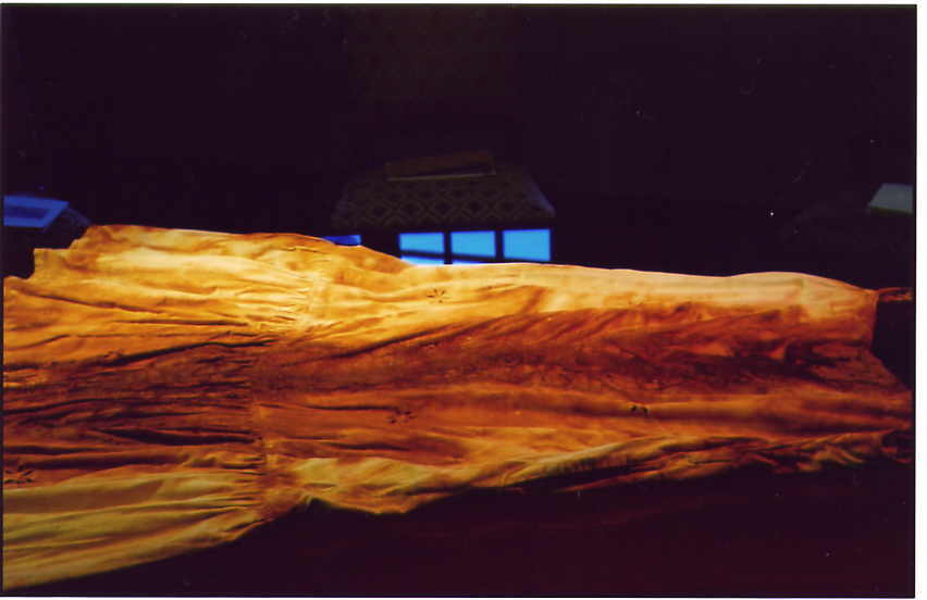 Sofie Vinet - Histoires de Femmes - La Jeune Fille et la Robe - Robe sur verre