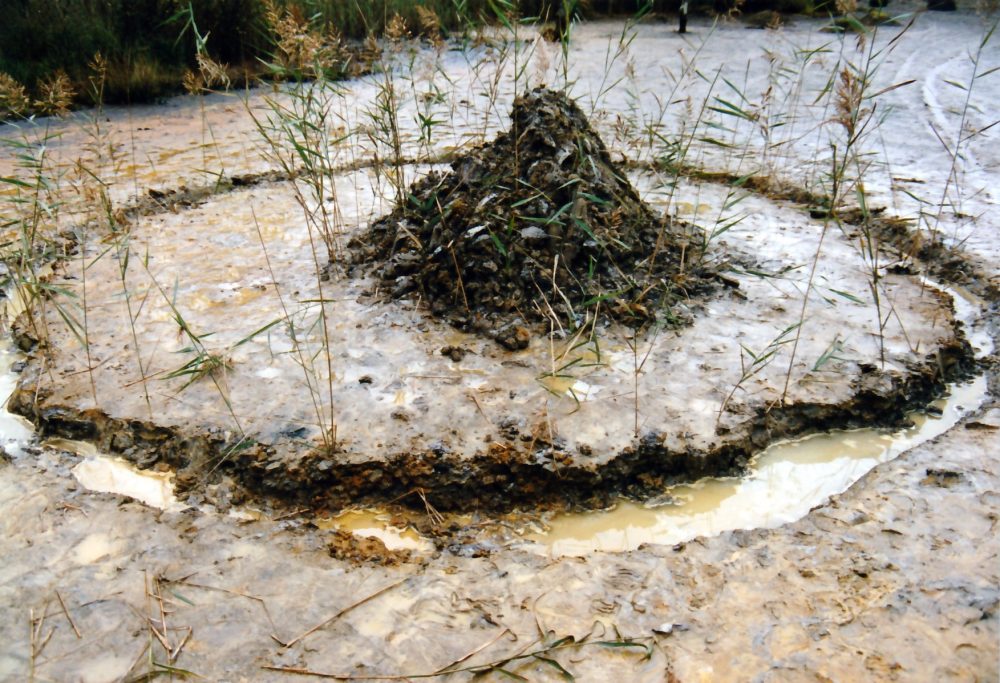 Sofie Vinet - Fille de la terre - Ateliers Land Art sur la mine - atelier scolaire land art
