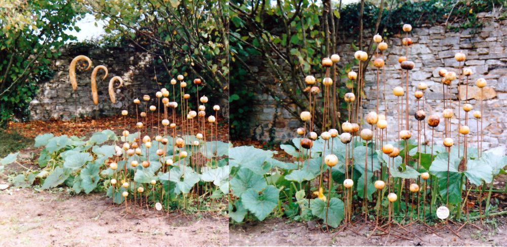 Sofie Vinet - Fille de la terre - Hommage au Jardinier - repousses à Saffré (44)