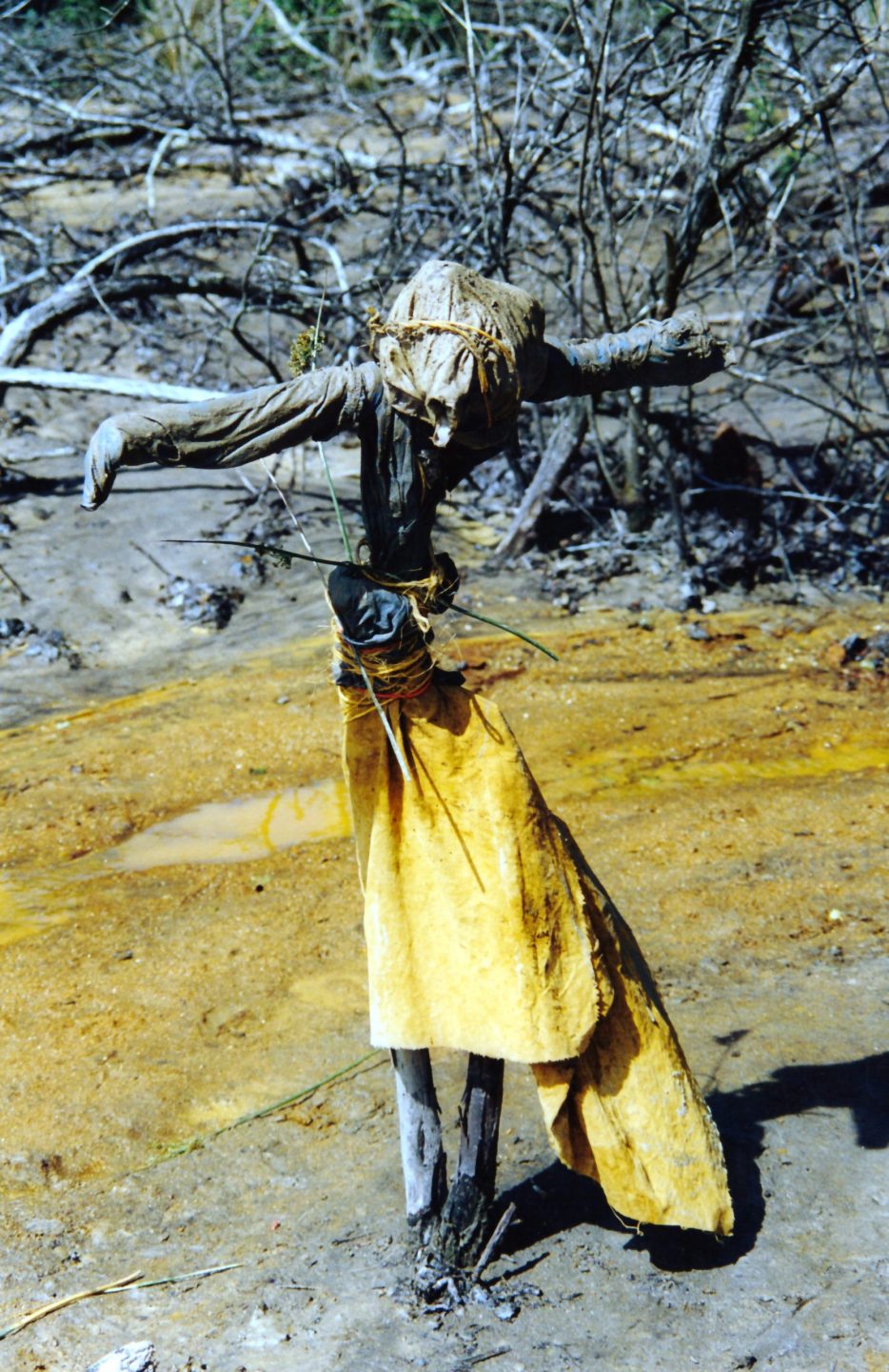 Sofie Vinet - Fille de la terre - Oripeaux - Le Troîl