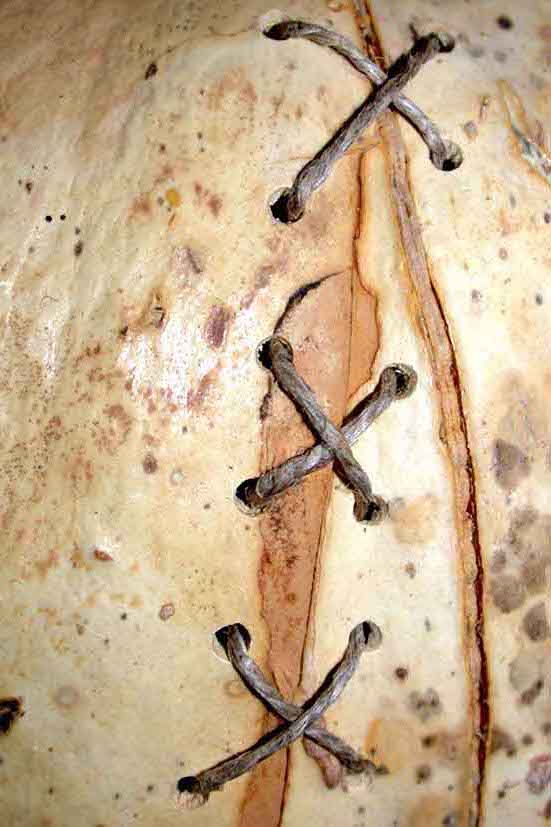 Sofie Vinet - Fille de la terre - Hommage au Jardinier - point de croix