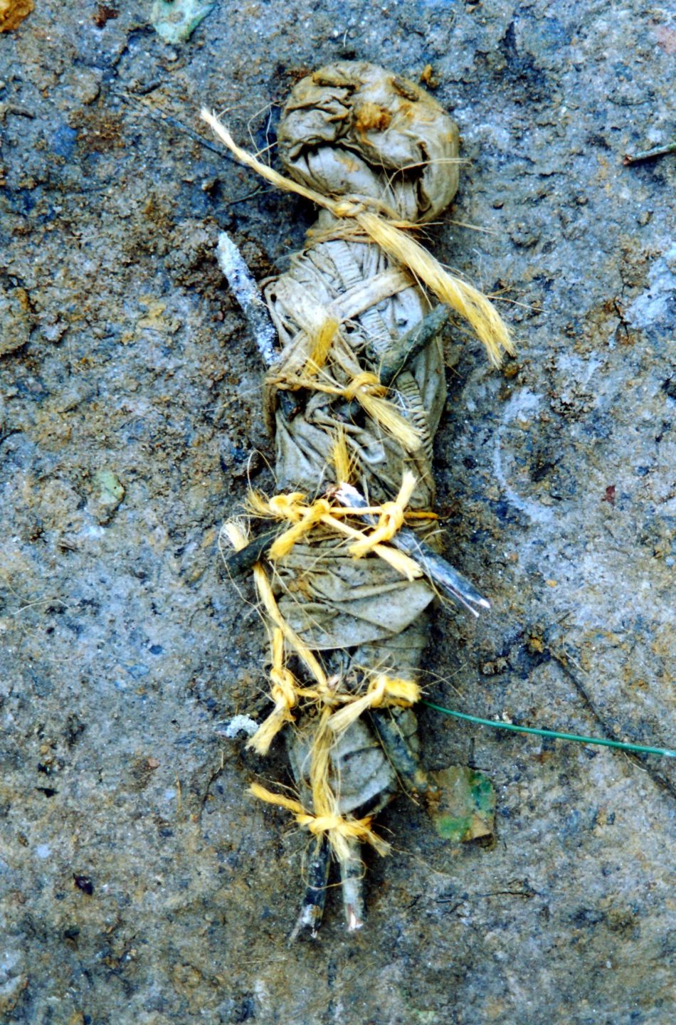 Sofie Vinet - Fille de la terre - Oripeaux - créature