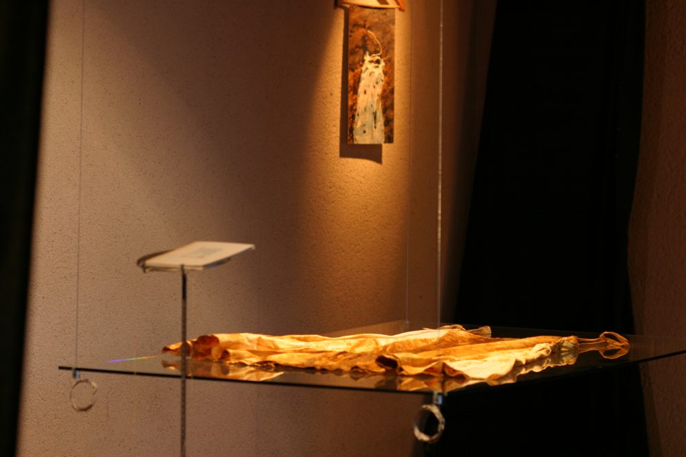 Sofie Vinet - Histoires de Femmes - La Jeune Fille et la Robe - La Robe au Lavoir à Les Herbiers (85) - 2007