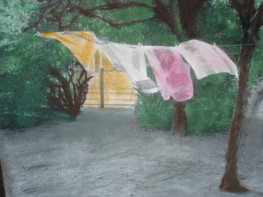 Sofie Vinet - transmission - atelier couleurs - Mauléon (79)