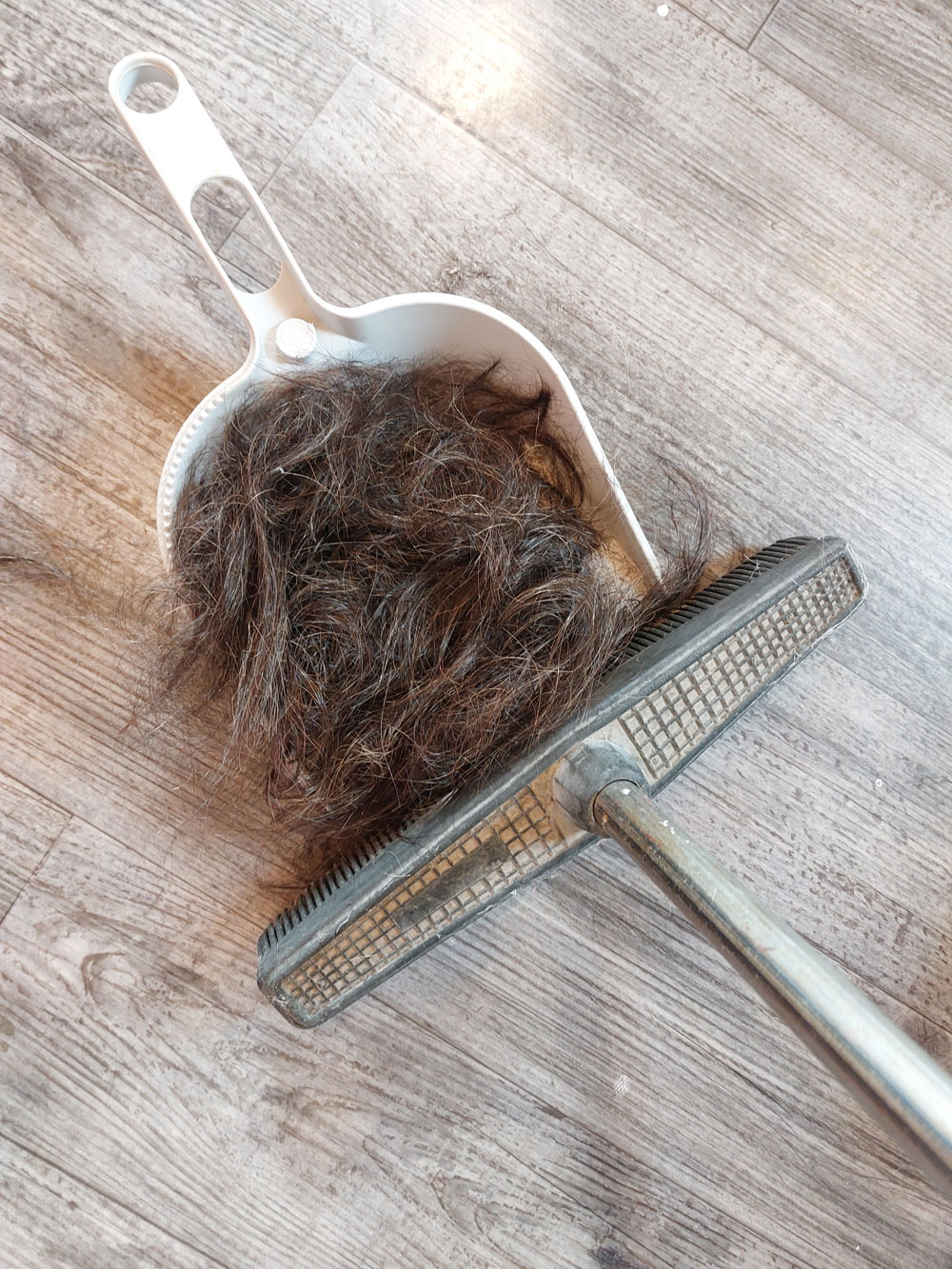 Madame Filosa artisane - coiffeuse - coupe