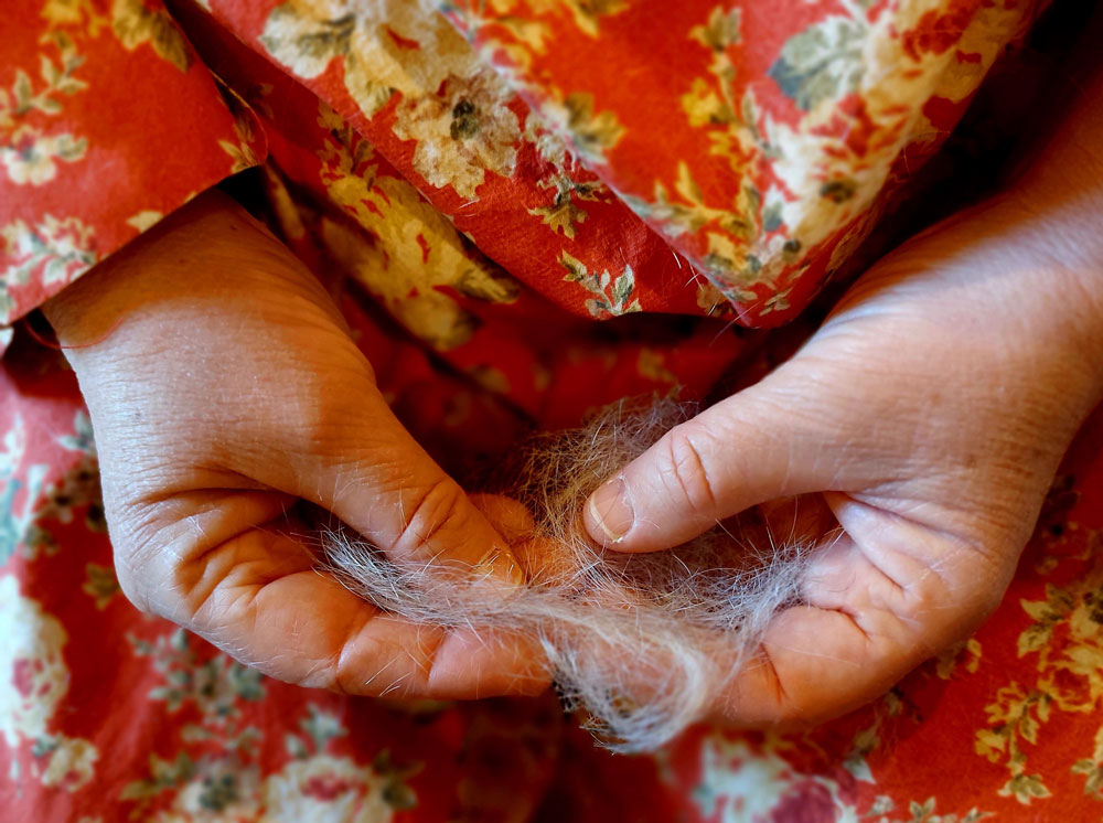 Madame Filosa artisane - coiffeuse - coupe